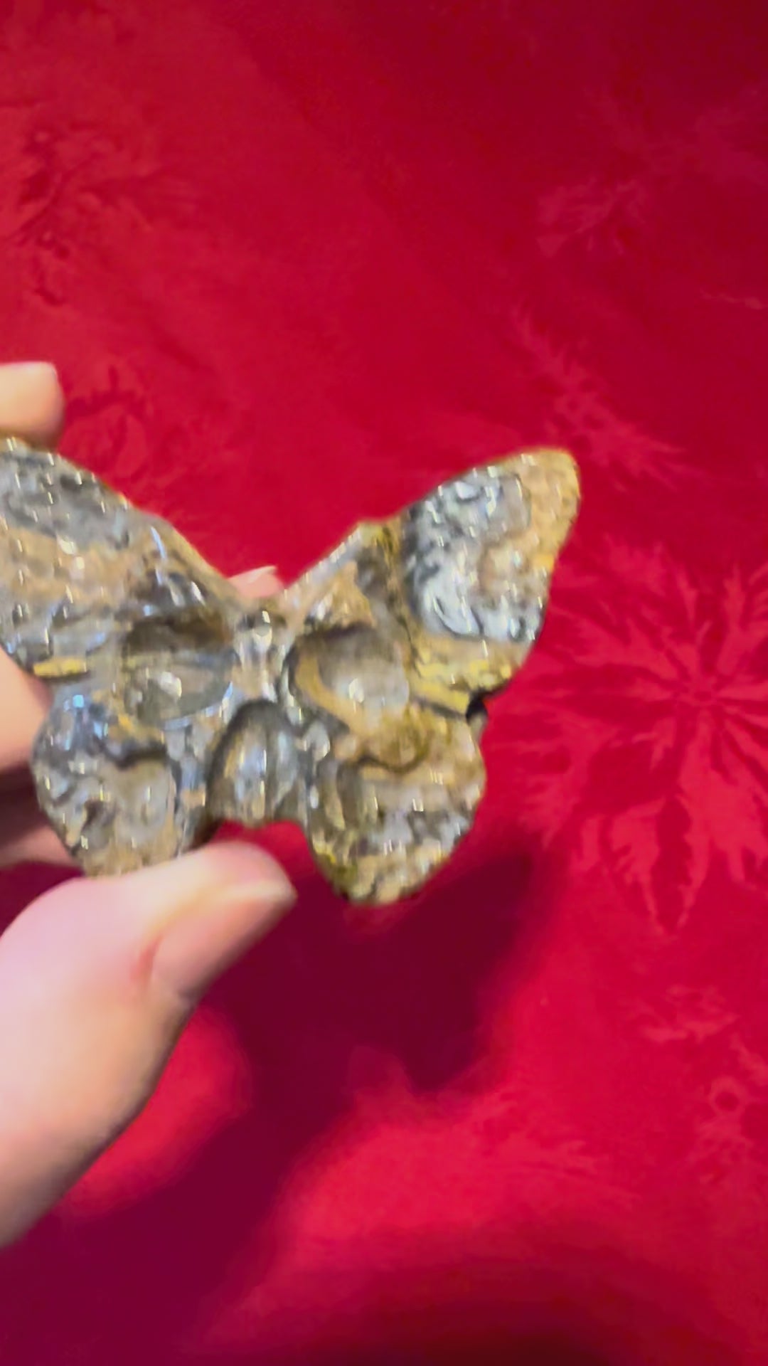 2.25” Tiger Iron Skull Butterfly