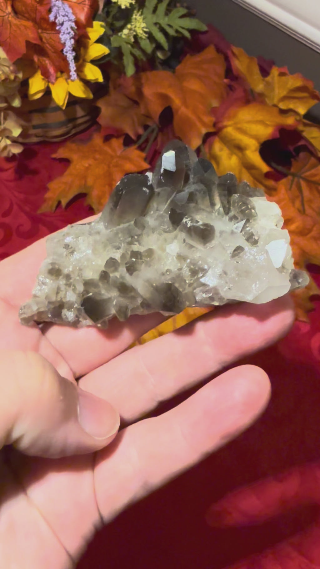 Smoky Quartz Cluster