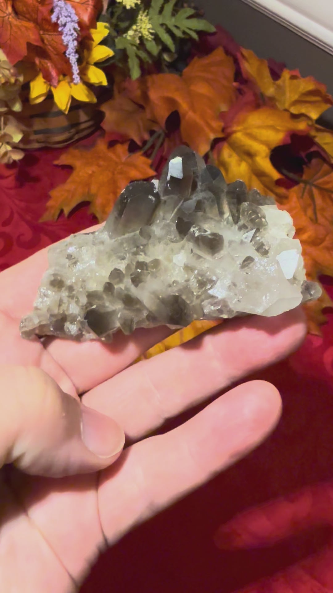 Smoky Quartz Cluster