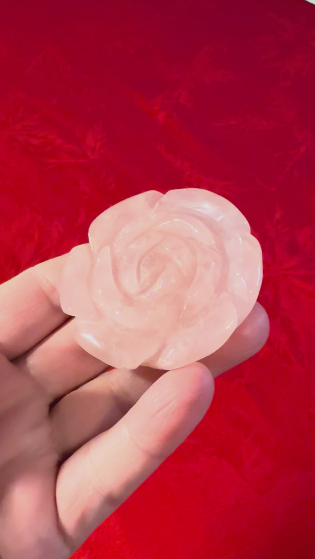 54mm Rose Quartz Carved Rose Palm Stone