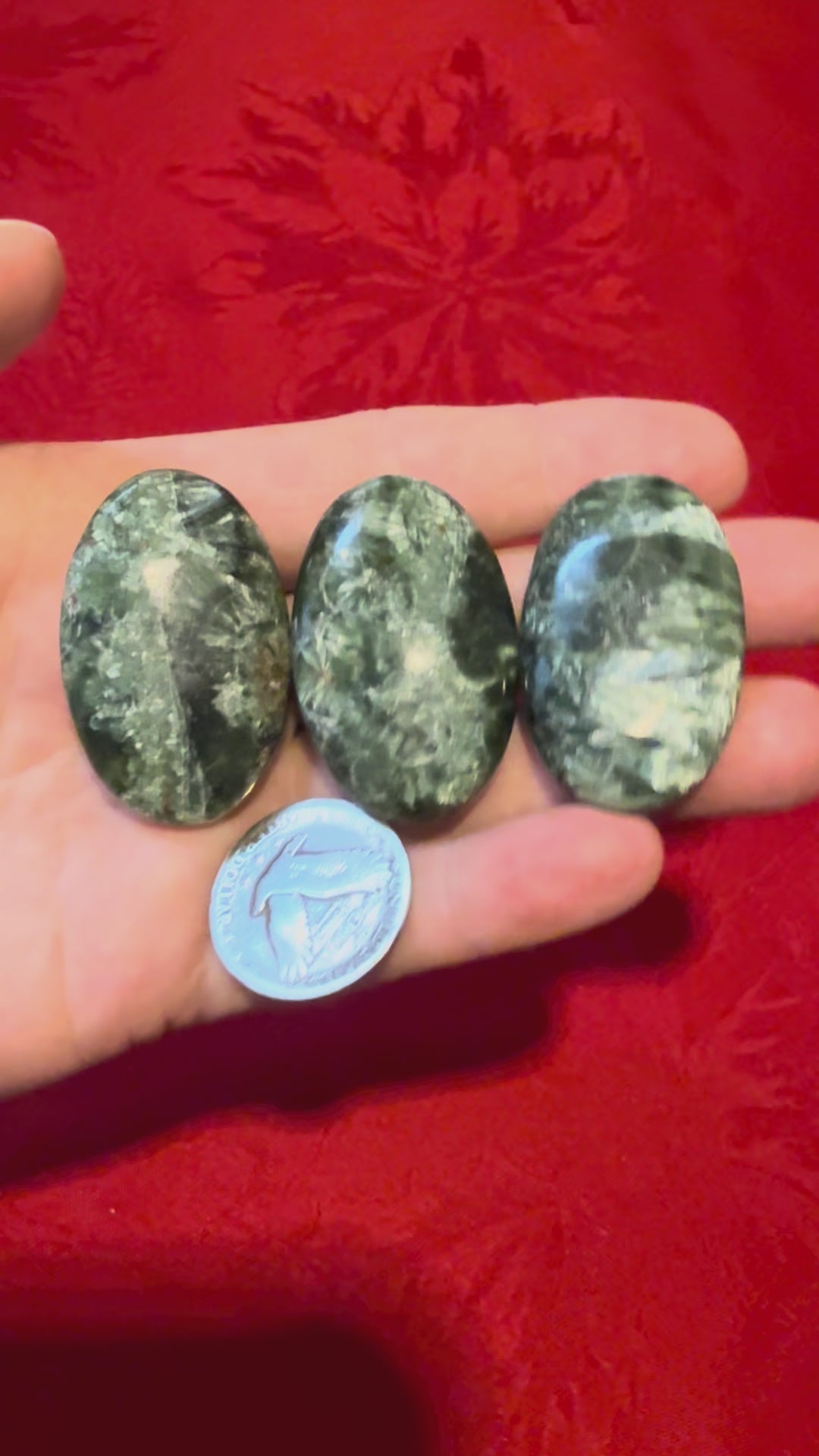 Seraphinite Palm Stone