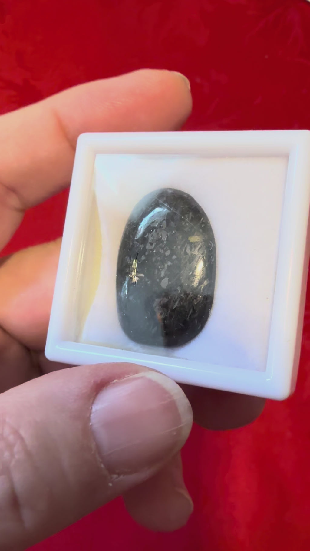 27mm Genuine Nuummite Polished Stone in Display Case